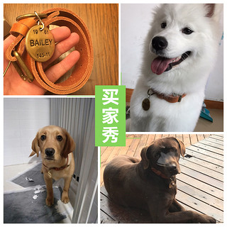 怡亲 犬用项圈吊牌 (《一条狗的使命》纪念款）