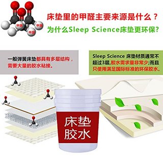 Sleep Science 美国斯利普 Florida 记忆棉床垫