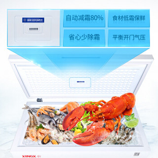XINGX 星星 107升小冰柜家用冷柜小型商用冷藏柜冷冻柜节能微型卧式冰箱