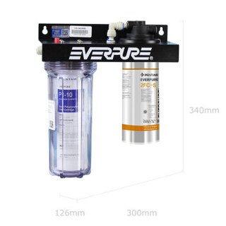 EVERPURE 爱惠浦 2FC-S 一体式净水器