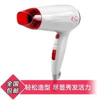 POVOS 奔腾 PW627 电吹风