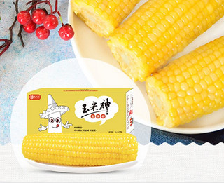 Corn God 玉米神 糯玉米系列 金糯甜玉米 220g*10袋