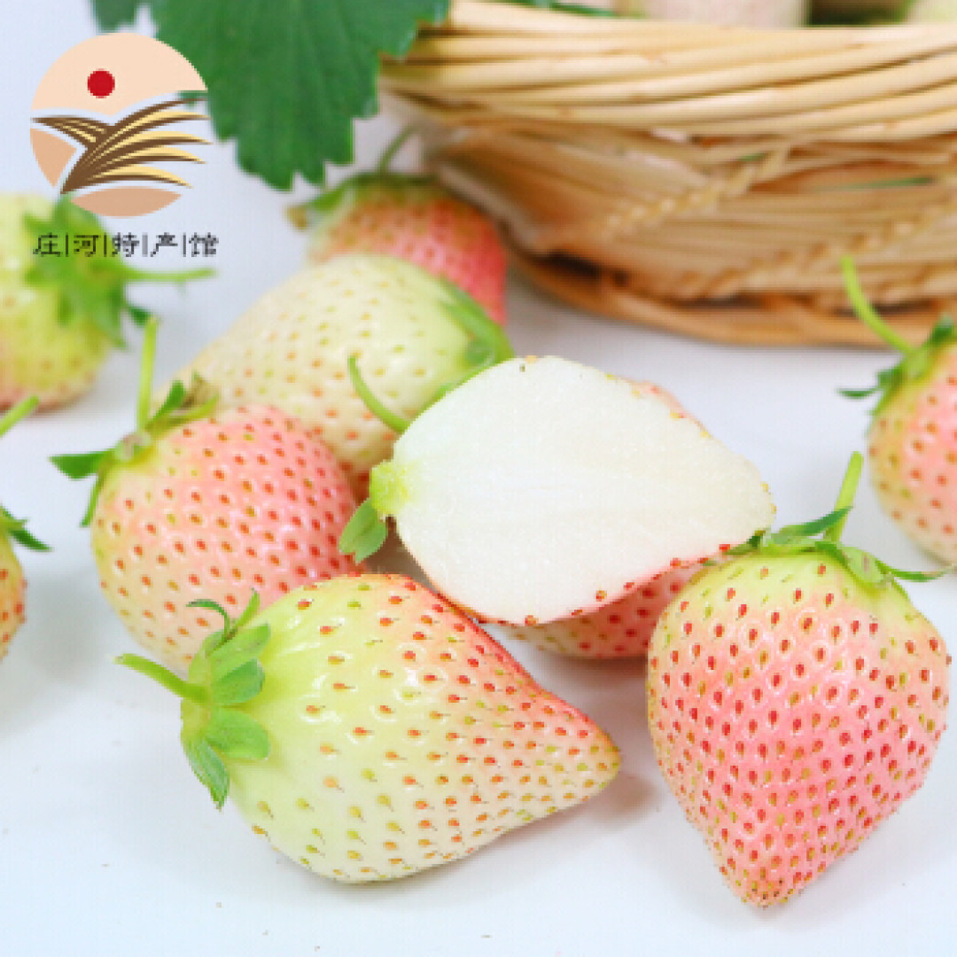 但愿人尝酒，千里共婵娟 | 好看又好喝的春日自制饮品（含配方）