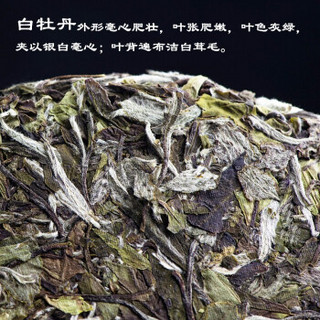 阖茗轩 2019年 花香白牡丹 白茶 300g/饼