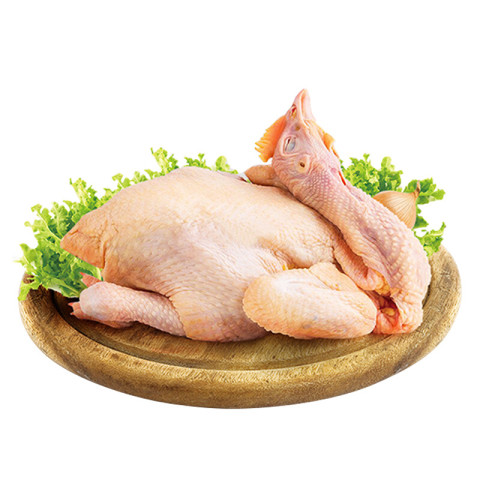 筱诺农家现杀土鸡三黄鸡约750g2只