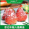PAGO JOY 百果心享 红宝玉草莓1.4kg