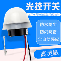 福财福满堂 光控开关220V防雨AS-20 光敏控制器