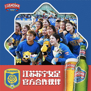 LUANDINA 罗安娜 麦芽黄啤酒 330ml*24瓶