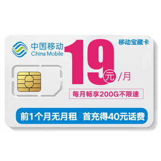 流量卡全国4G手机卡大王卡日租卡上网卡不限速电话卡 大王卡 移动花卡宝藏版 200G流量