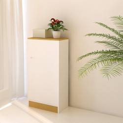 省69 5元 慧乐家书柜书架漫雅单门收纳柜简易书橱柜子储物柜置物架白色 水曲柳色多少钱 什么值得买