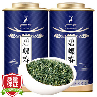 卢关茶叶 绿茶 碧螺春2019新茶罐装茶叶礼盒装 浓香型春茶高山云雾嫩芽 250g