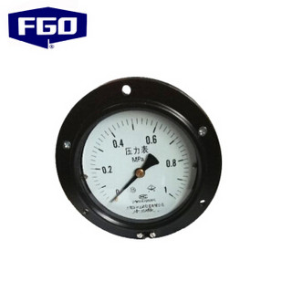 FGO 普通型压力表Y-100轴向有边压力表 水压油压气压 Y-100轴向有边0-2.5MPa  50个