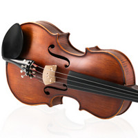 普花小提琴儿童成人初学者手工乐器