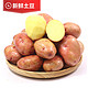 HONGGAOLIANG/红高粱 云南小土豆 10斤