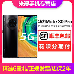 华为 Mate 30 Pro 5G 麒麟990 OLED环幕屏双4000万徕卡四摄5G手机