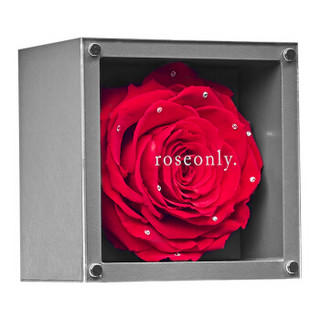 roseonly永生花玫瑰礼盒全世爱倾国嫣红小型方盒情人节七夕礼物