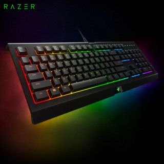 雷蛇(Razer)萨诺狼蛛幻彩专业版 键盘 有线键盘 游戏键盘 办公键盘 薄膜键盘 104键 RGB 电竞 黑色
