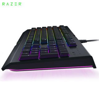 雷蛇(Razer)萨诺狼蛛幻彩专业版 键盘 有线键盘 游戏键盘 办公键盘 薄膜键盘 104键 RGB 电竞 黑色