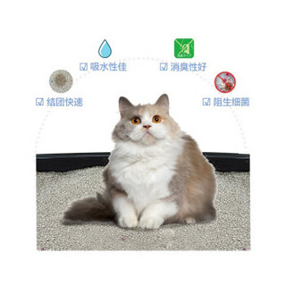 sanmate 莎美特 膨润土猫砂除臭10L宠物猫沙约7.5kg