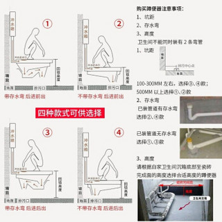 箭牌蹲便器ald515水箱套装ALD507CG蹲坑蹲厕便池带存水弯防臭厕所蹲便大便器套装5210 507CG套装+水箱（不带存水弯后下水高215）