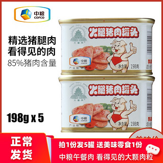 TianTan 天坛 小白猪午餐肉罐头 198g*5罐