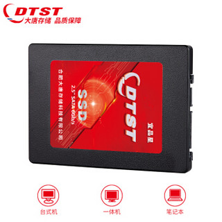 DTST 大唐存储 DT300 固态硬盘 240GB SATA接口 DT300 240GB
