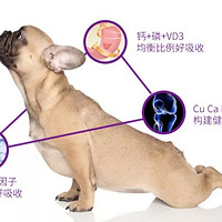 petpaigrid 宠百格 狗狗钙片 380粒