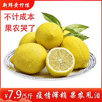 四川新鲜柠檬5斤 单果90g起 助农扶贫