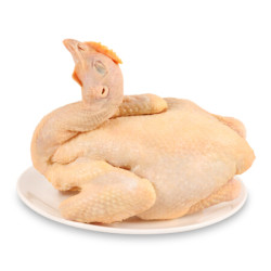 温氏 供港田园土鸡 1kg *10件 +凑单品
