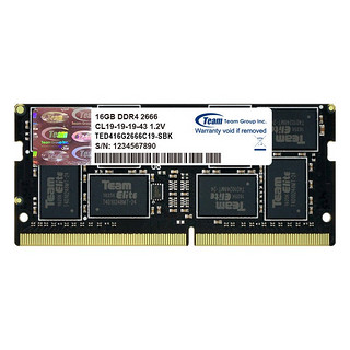 Team 十铨 DDR4 2666MHz 笔记本内存 16GB TED416G2666C19-SBK