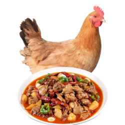 大用  黄羽鸡三黄鸡  1kg *2件