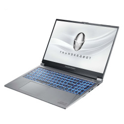 ThundeRobot 雷神 911M 野王 15.6英寸笔记本电脑(i7-10750H、8GB、512GB、GTX1650Ti)