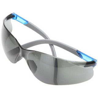 霍尼韦尔（Honeywell）300311护目镜 S300A蓝款灰色镜片 防风 防沙 防尘 防雾 运动眼镜 10副/盒