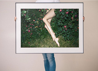 艺术品 苹果 Linas Vaitonis 作品 激励之腿，放在床头~ 28 x 33cm