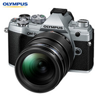 奥林巴斯（OLYMPUS）E-M5 Mark III+12-45mm PRO微型单电机身 五轴防抖em5照相机 单镜头 银色