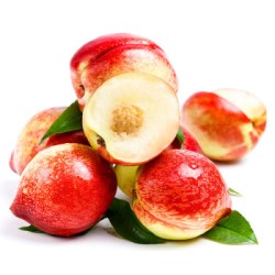 四川攀枝花油桃白肉油桃新鲜水果带箱3斤