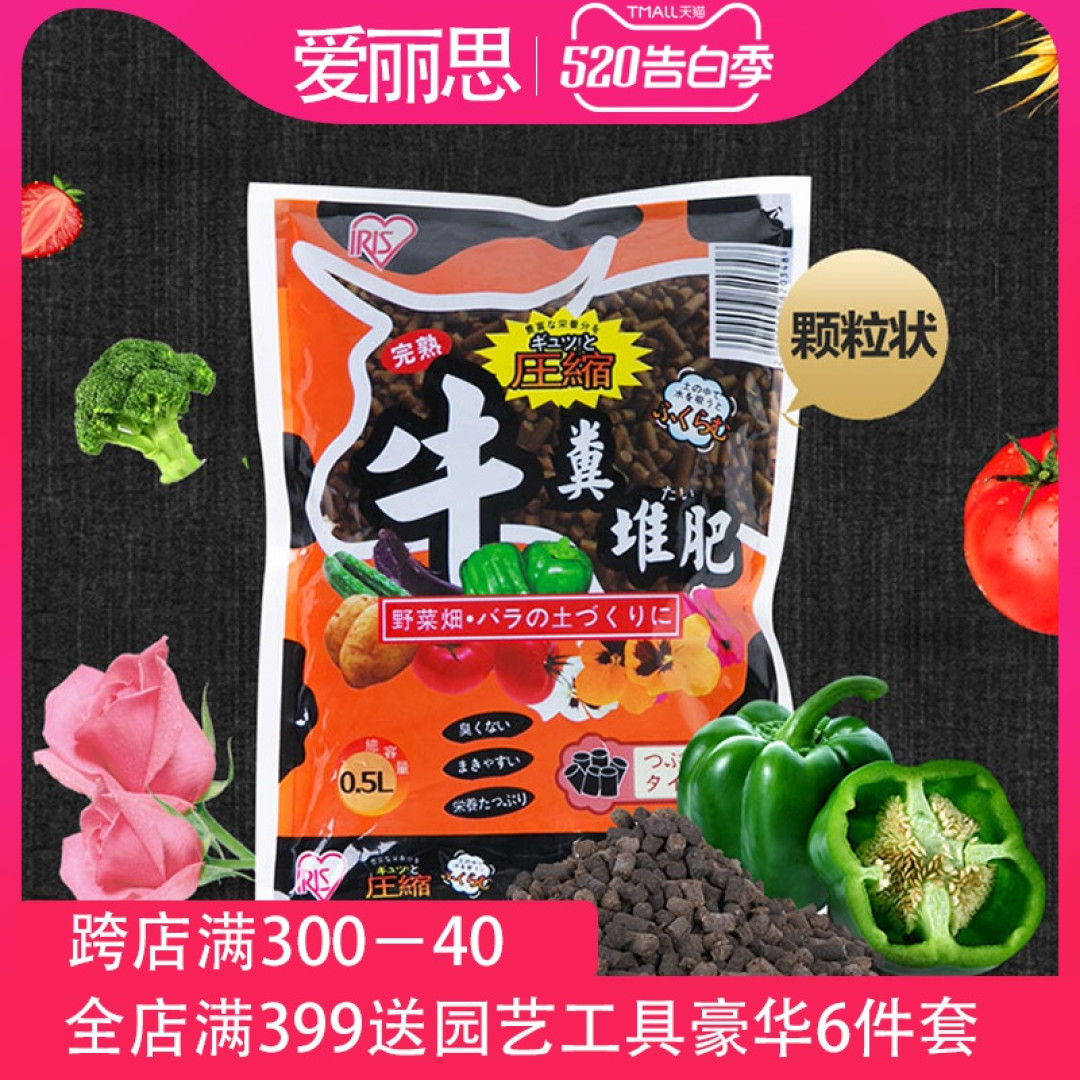 江苏一位小妹妹,因“用水壶养多肉”而走红,太有创意,都来看看
