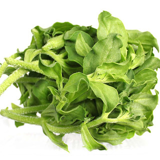 凉拌水晶菜的家常做法