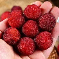 拾柚啦 新鲜杨梅水果 3斤/件