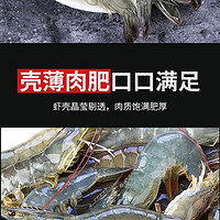 鲁王尔 厄瓜多尔白虾 11-14cm 净重2.8-3.2斤