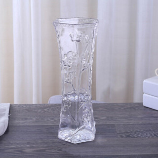 迪茵 DIYIN 大号六角玻璃花瓶透明简约富贵竹百合水培花瓶家用客厅鲜花插花瓶 郁金香
