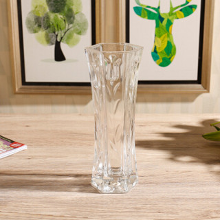 迪茵 DIYIN 大号六角玻璃花瓶透明简约富贵竹百合水培花瓶家用客厅鲜花插花瓶 郁金香