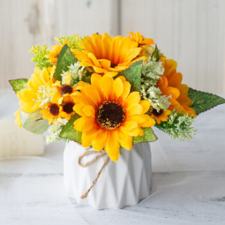 爱已装糖向日葵陶瓷花瓶仿真花假花花束干花绢花塑料花家居客厅装饰品插花花瓶花束摆件卧室工艺品摆设 报价价格评测怎么样 什么值得买 爱已装糖向日葵陶瓷花瓶仿真花假花花束干花绢花塑料花家居客厅装饰品插花花瓶花束摆件卧室工艺品摆设 报价价格评测怎么样 什么值得买