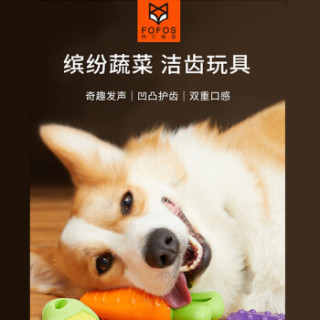 两只福狸fofos迷你茄子宠物狗玩具狗狗金毛泰迪互动发声磨牙解闷耐咬狗玩具大中小型犬 报价价格评测怎么样 什么值得买 两只福狸fofos迷你茄子宠物狗玩具狗狗金毛泰迪互动发声磨牙解闷耐咬狗玩具大中小型犬 报价价格评测怎么样 什么值得买