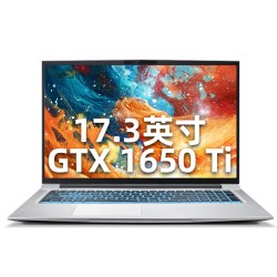 MACHENIKE 机械师 T90 Plus 进阶版 17.3英寸 笔记本电脑 (银色、酷睿i7-10750H、8GB、512GB SSD、GTX 1650Ti 4G)