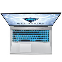 MACHENIKE 机械师 T90 Plus 17.3英寸 游戏本 银色(酷睿i7-10750H、GTX 1650Ti 4G、8GB、512GB SSD、1080P、IPS)