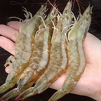 京东PLUS会员：鲁王尔  厄瓜多尔白虾  11-14cm 净重2.8-3.2斤