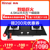 林内（Rinnai）RB-2E01M 4.5KW烈焰巨火 一级能效防爆钢化玻璃 全铜双眼灶嵌入式燃气灶（天然气）