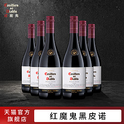 官方旗舰店 智利原瓶进口干红葡萄酒干露红魔鬼黑皮诺葡萄酒6支装