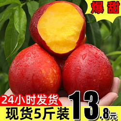黄心油桃现货5斤新鲜水果当应季大桃子整箱包邮孕妇脆甜非水蜜桃